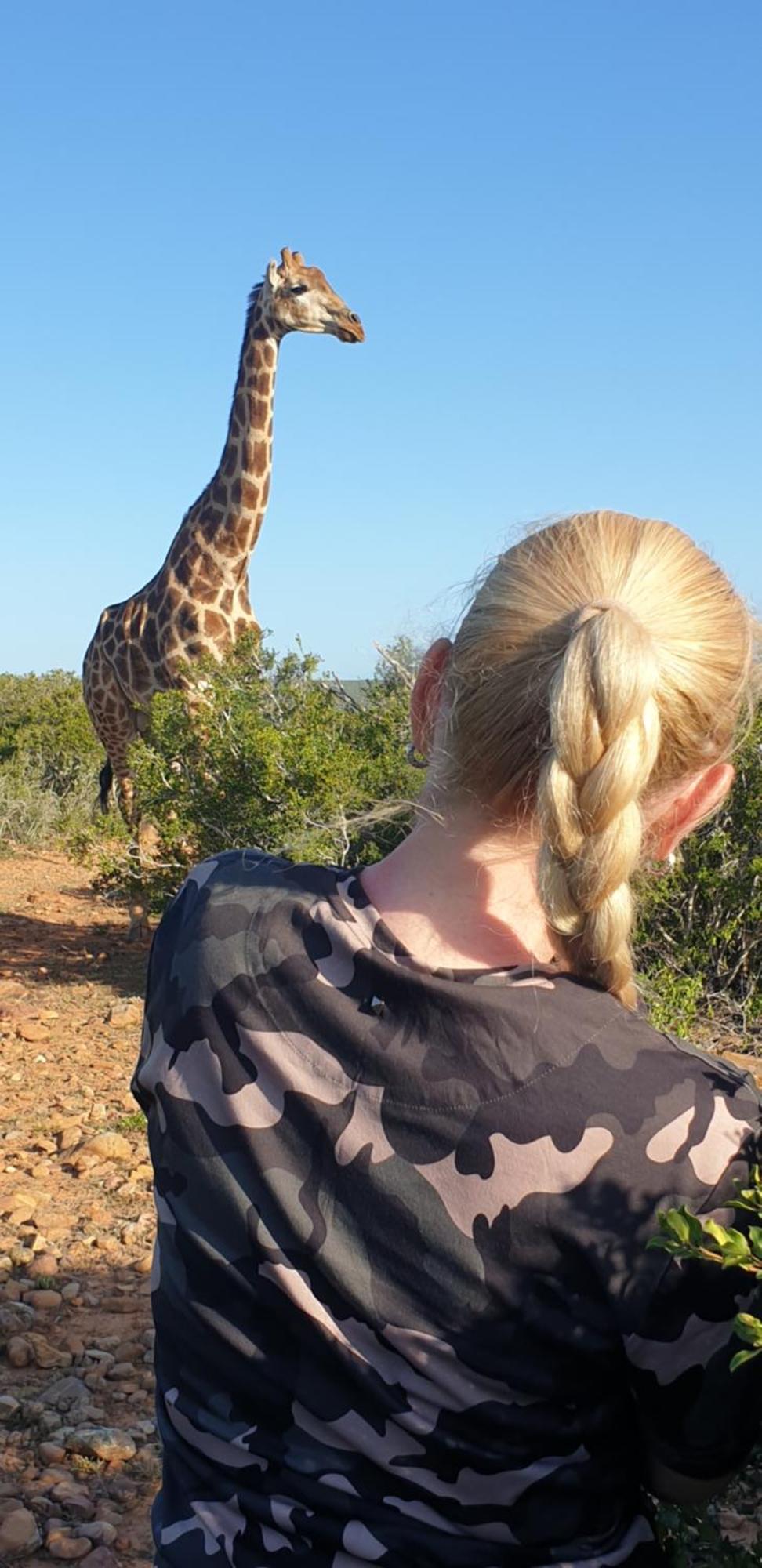 Valley Bushveld Country Lodge Addo Exterior photo