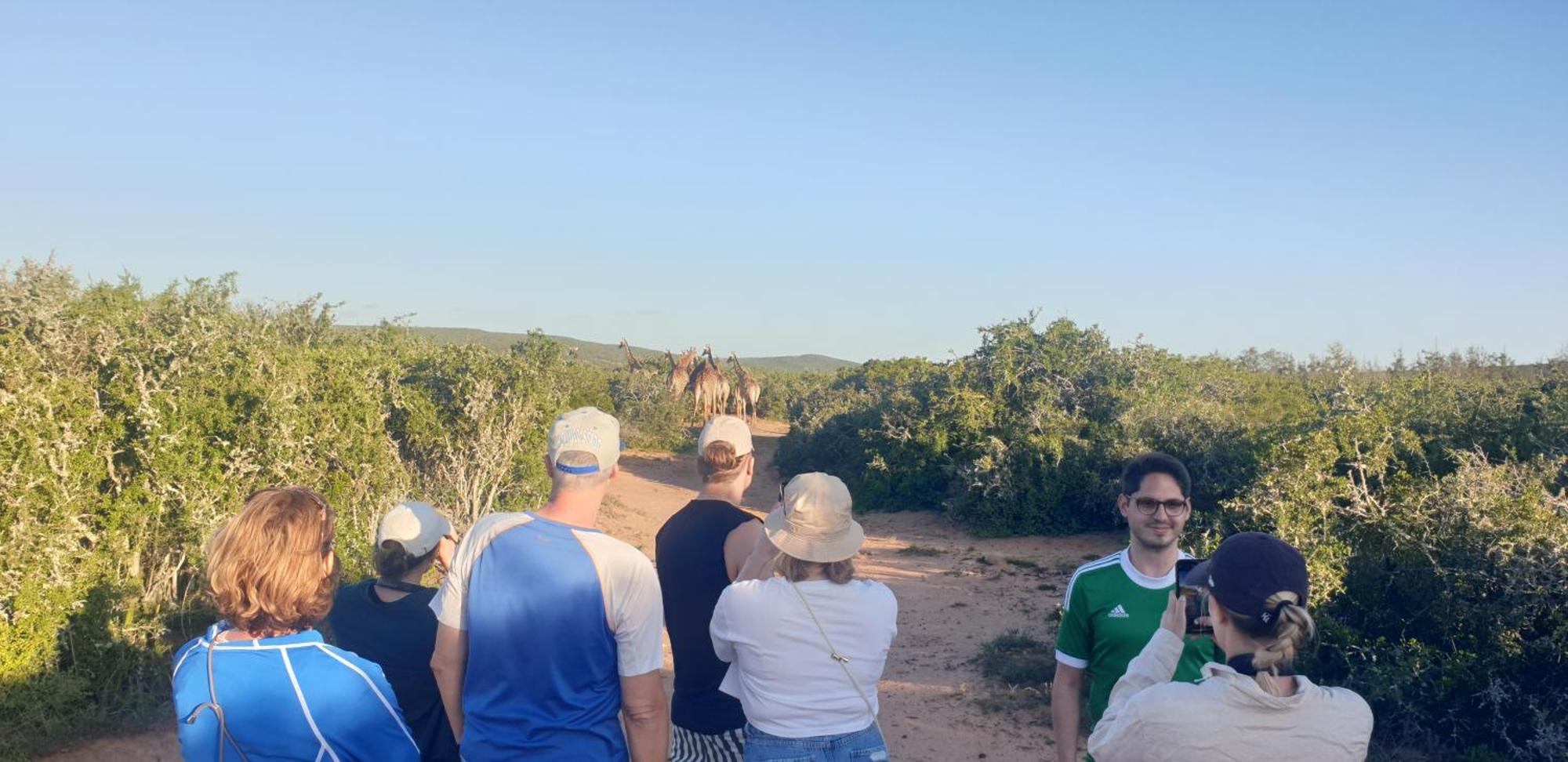 Valley Bushveld Country Lodge Addo Exterior photo